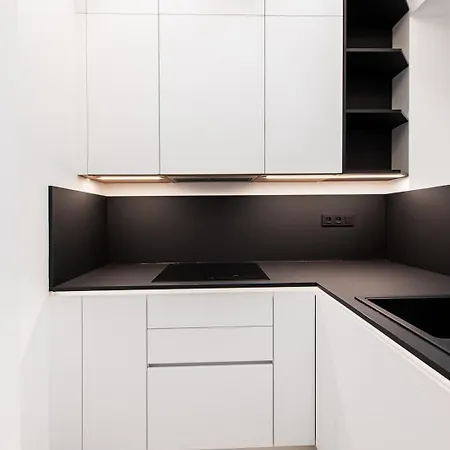 Designovy Apartman Air V Srdci Kralovskych Vinohrad Apartament